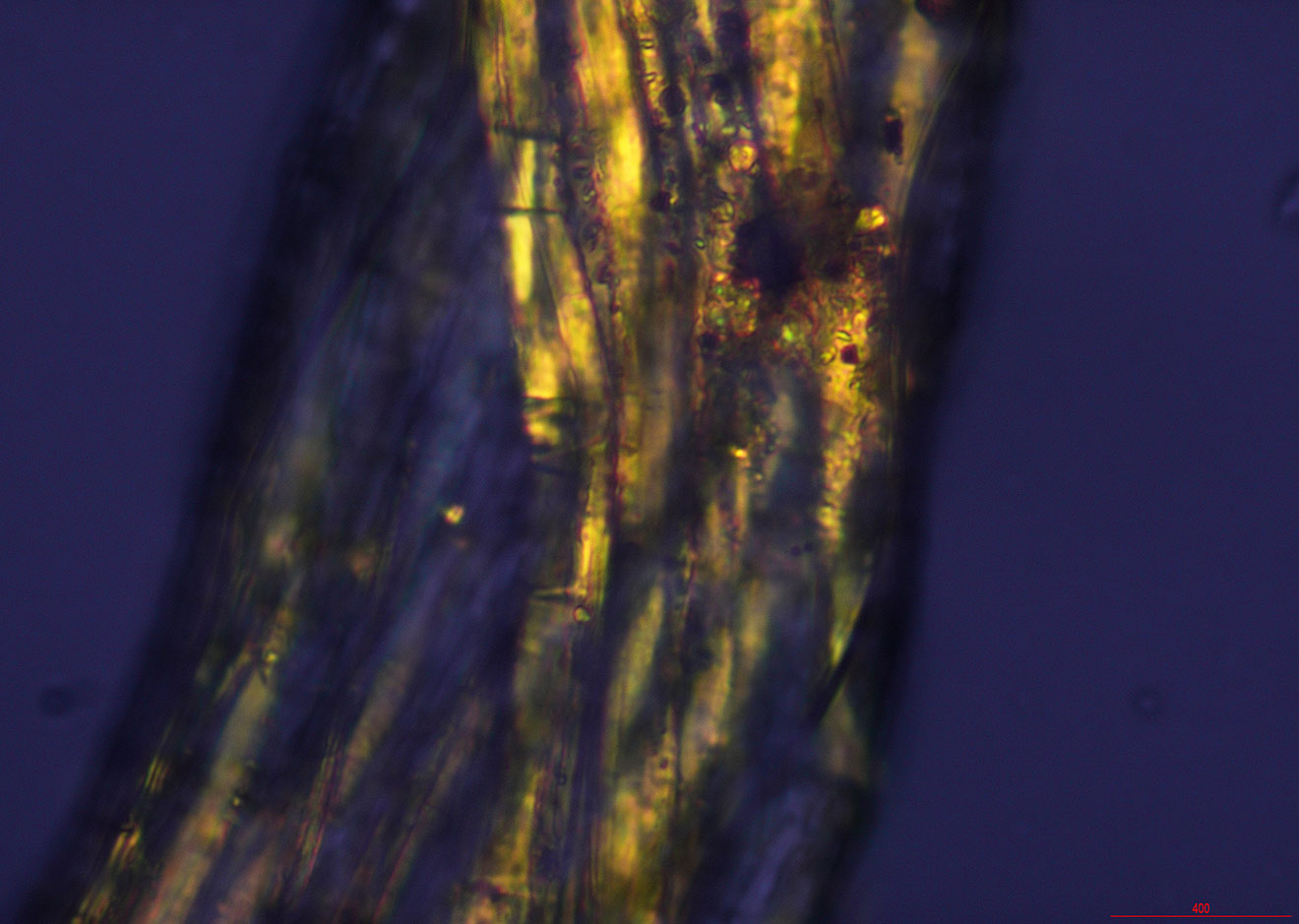 A dark blue and black background with a slash of yellow, orange and green with three orbs, two on the right and one on the left.