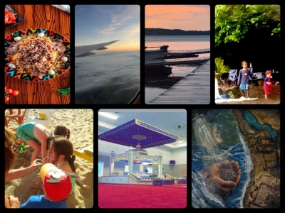 collage.jpg