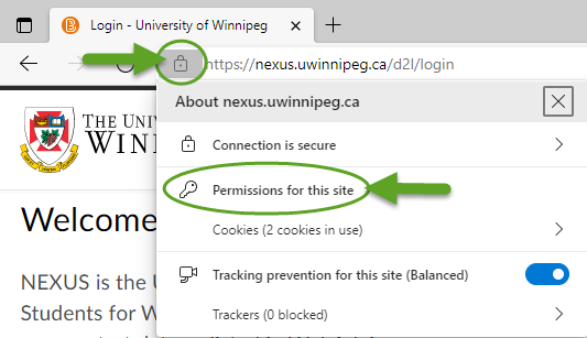 Microsoft Edge content permissions