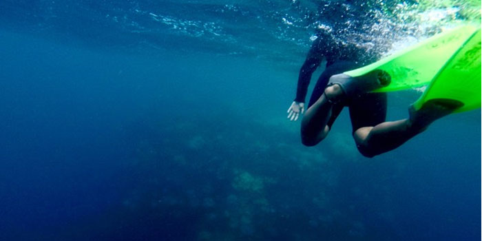 Diver in water with Great Barrier Reef below