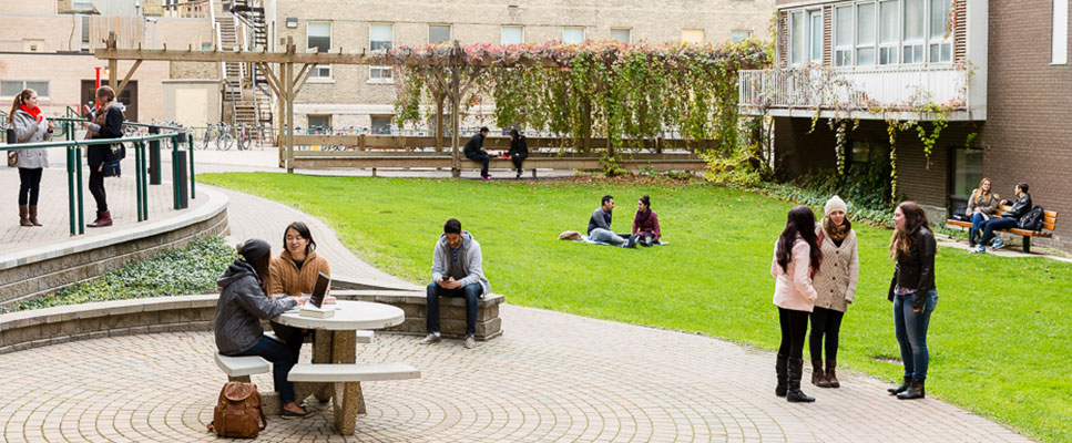 Students in the Quad