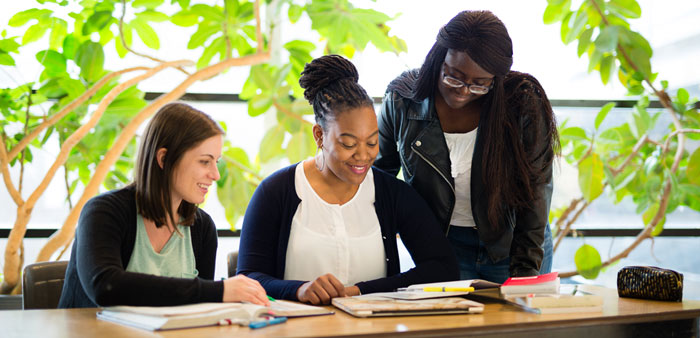 Students Studying