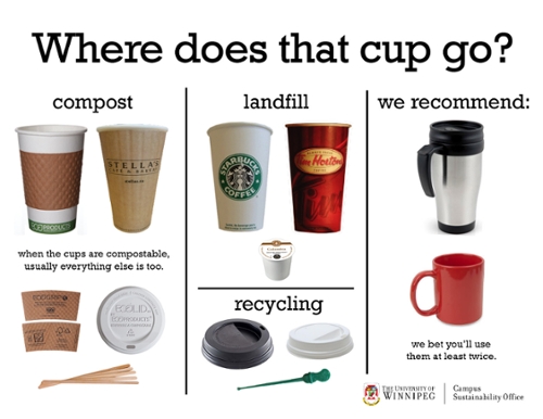 Coffee cups: 3 months later, are they being recycled at Tim Hortons and  Starbucks?