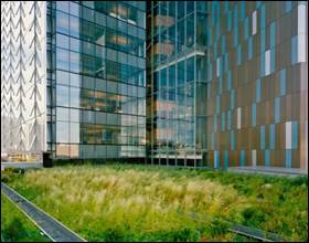 Building with grass 