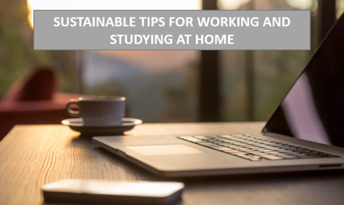 This is a link to the University's Sustainable Tips for Working and Studying Remotely