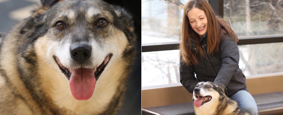 Melanie O'Gorman and her dog Lucky