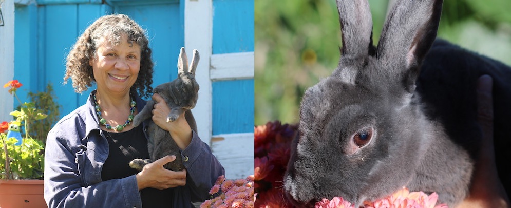 Dr. Mary LeMaitre and her rabbit Mathilde