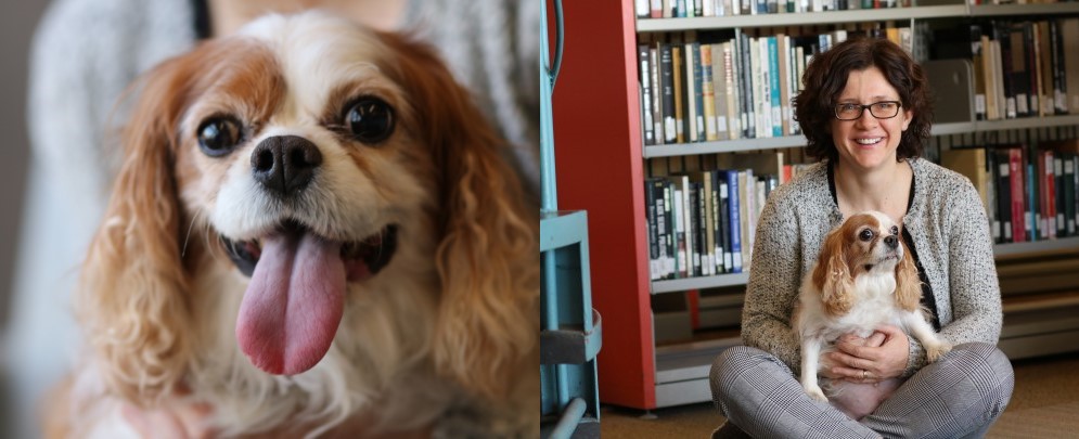 Anna Stokke and her dog Sadie