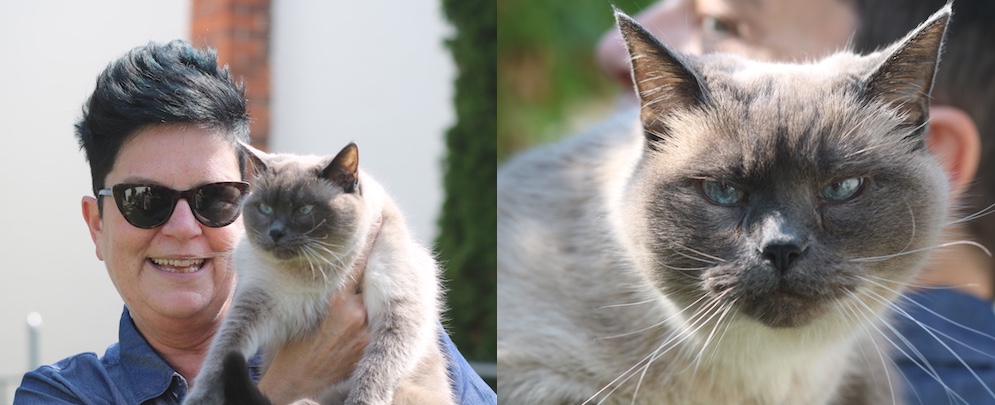 Dr. Gina Sylvester with her cat Maxime