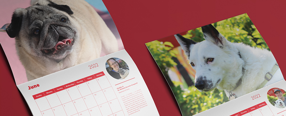 Teacher s Pet Calendar Teachers Pet The University Of Winnipeg