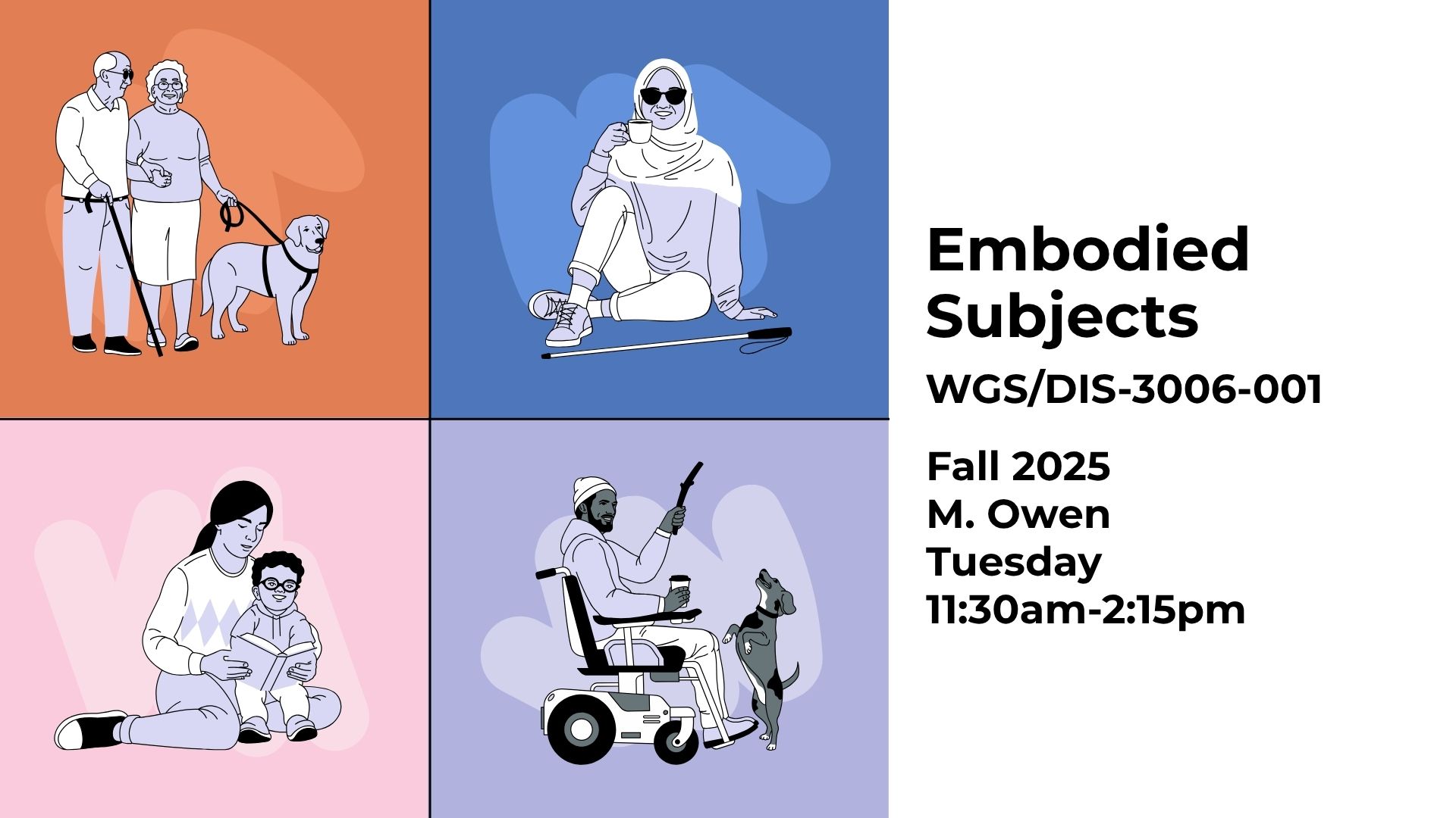 DIS/WGS-3006 promo image
